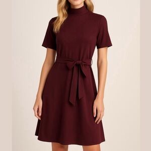 Ann Taylor Factory Burgundy Long Sleeve Dress